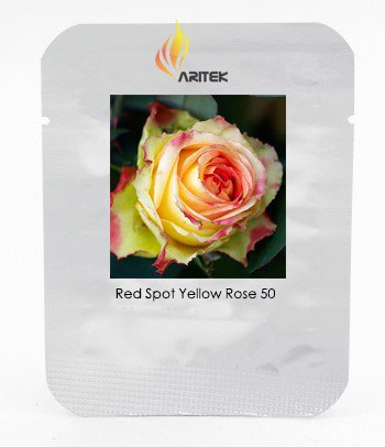 Yellow Rose Professional 50 / Large Light Seeds, Pack, Seeds Frag...