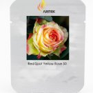 Yellow Rose Professional 50 / Large Light Seeds, Pack, Seeds Frag...