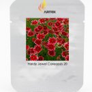 Rare Hardy Multi-color Jewel Ruby Frost Coreopsis Professional 20 / Seeds, Pa...