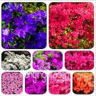 100 Mixed Japanese azalea (Rhododendron lateritium Planch) seeds