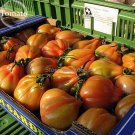 Rare Heirloom 'Foshou' Yellow 100 healthy delicious fruit Big Seeds, vegetable