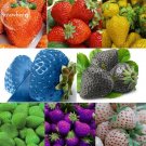 Mixed 9 Types of Strawberry Fruit, 100 red yellow blue black purple white col...