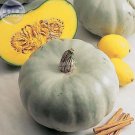 Crown Squash 10 professional whitish skin edible Seeds, pack,...