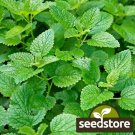 seeds lemon mint | heirloom - non-gmo herb