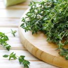 seeds 300 thyme | heirloom - non-gmo herb