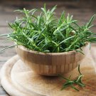 100 seeds rosemary -