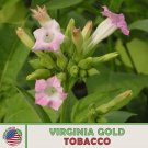 1000 virginia gold tobacco seeds, heirloom, non-gmo, genuine