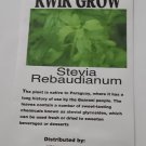 50 seeds stevia rebaudiana natural sweetener organic non-gmo