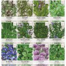 seeds herb variety pack culinary collection (12 individual herbs for p