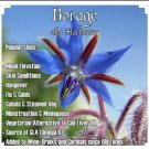 60 borage seeds-edible herb plant-non gmo-open pollinated-organic.
