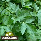 seeds 500 italian dark green parsley | heirloom - non-gmo