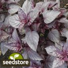 seeds 500 dark opal basil | heirloom - non-gmo