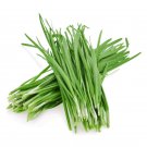 seeds 5gram / 1000pcs chinese chives , leek 韭菜种子