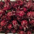 50 seeds jamaican sorrel hibiscus roselle sabdariffa sour leaf chin baung