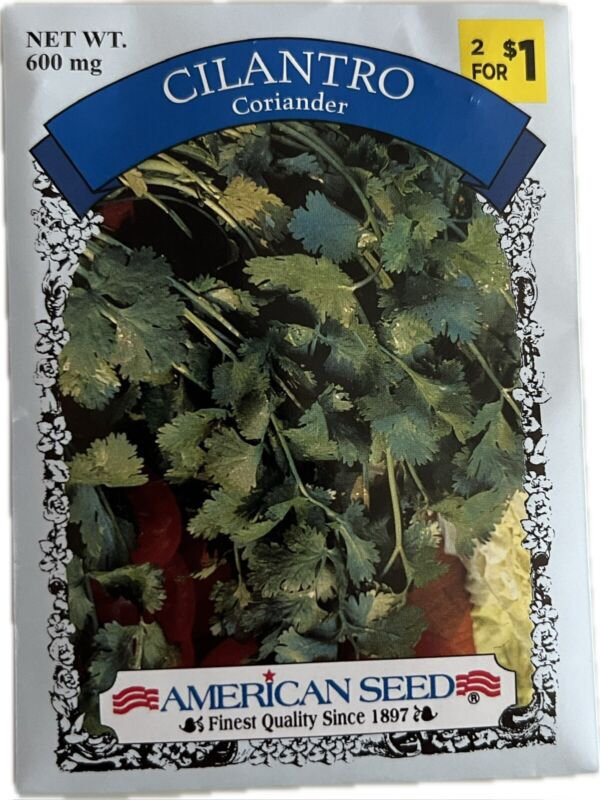 cilantro seeds, non-gmo,