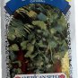 cilantro seeds, non-gmo,