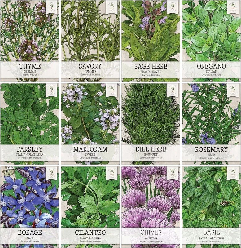 seeds herb variety pack culinary collection (12 individual herbs for p