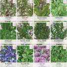 seeds herb variety pack culinary collection (12 individual herbs for p