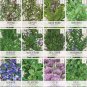 seeds herb variety pack culinary collection (12 individual herbs for p