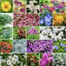 seeds 24 500 perennial wildflower mix - rock garden | ground cover types