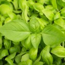 200 seeds basil lemon herb citrus flavor vinegar soups award winning non-gmo