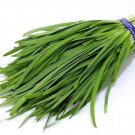 250 seeds 15 - chives garlic heirloom groco buy any ships