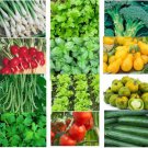 seeds 20 vegetable herb tomato variety packs non gmo peppers lettuce garden