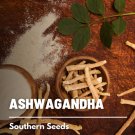 30 ashwagandha, indian ginseng - seeds, heirloom herb (withania somnifera)