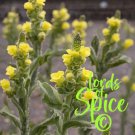 150 seeds mullein (verbascum thapsus) medicinal herb -