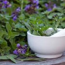 12 medicinal seed set #2, individual packages herb seeds, organic