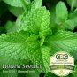 seeds heirloom peppermint | non-gmo herb garden perennial from