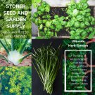 7 seeds 350 heirloom herb seed variety pack non-gmo fresh open pollinated