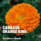 seeds calendula, orange king - heirloom medicinal & pollinator friendly flower