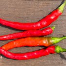 seeds 20x f1 thai chili x cayenne cross | non-gmo organic hot pepper ship