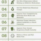 300 seeds wild bergamot -bee balm -monarda fistulosas -medicinal herb