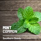 seeds mint, common - heirloom medicinal & culinary herb gmo (mentha spp