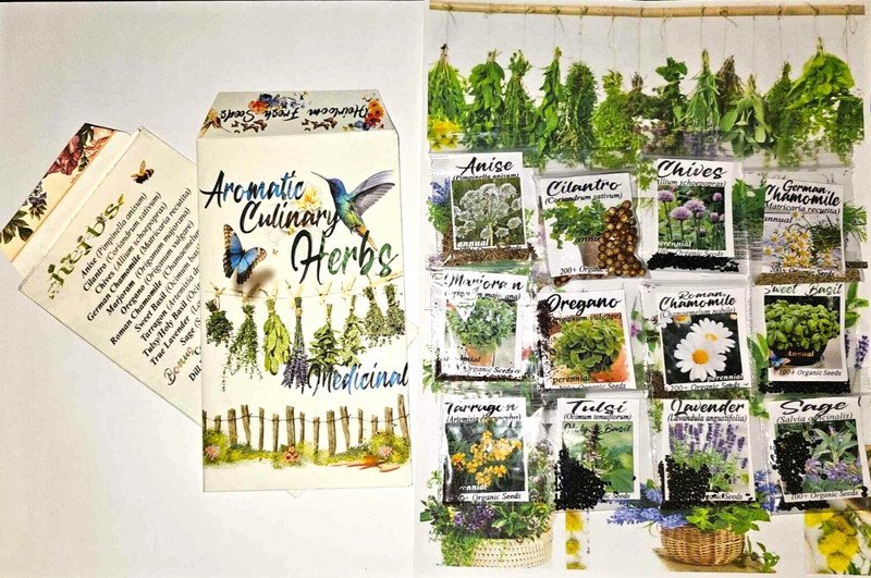 seeds 12 count variety pack culinary garden herb  bonus seeds, heirloom, fresh