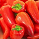 seeds 30 pimento sweet pepper non-gmo fresh for your garden