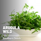 500 arugula, wild - seeds, heirloom herb (diplotaxis tenuifolia)
