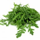 seeds wild arugula heirloom 2000 strong flavor 100% organic grown in