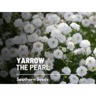 100 seeds yarrow, the pearl - heirloom flower medicinal herb double white