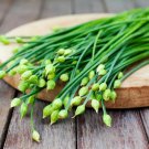 seeds garlic chives - heirlooms non gmo