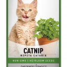 seeds catnip