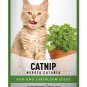 seeds catnip