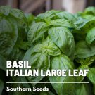 250 basil, italian large leaf - seeds, heirloom herb (ocimum basilicum)