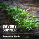 100 seeds savory, summer - culinary & medicinal herb (satureja hortensis)