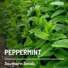 100 seeds peppermint - medicinal & culinary herb gmo (mentha piperita)