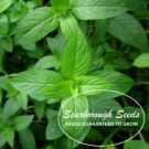 seeds 1000 scarborough mint peppermint herb non-gmo heirloom vegetable
