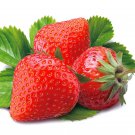 seeds 200pcs strawberry for four seasons planting