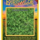 2000 seeds summer savory herb - everwilde farms mylar seed packet